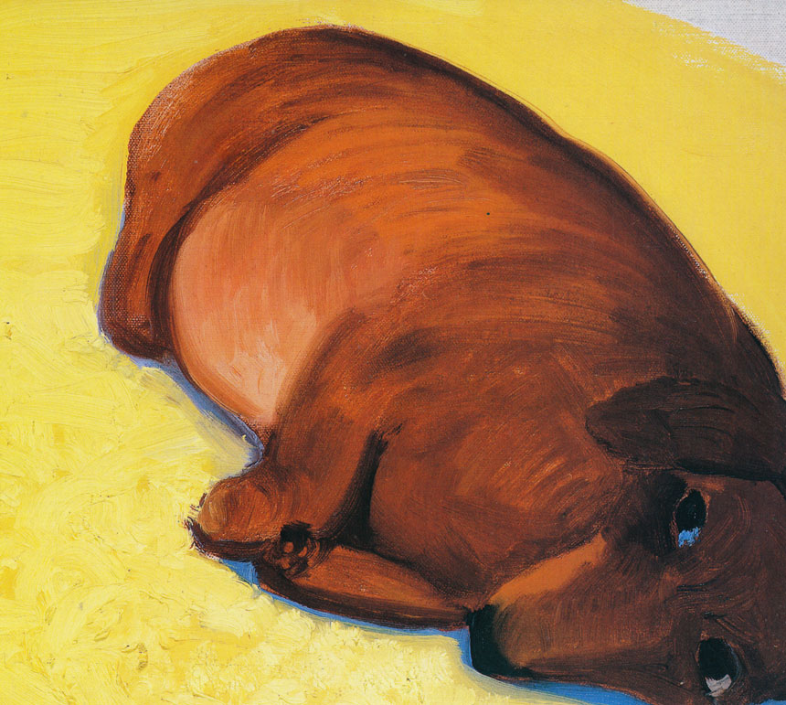 David Hockney Dachshund dog print in 11 x 14 mount ready